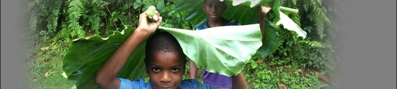 SAO  TOME 